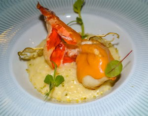O camarão, risotto de lima e molho de berbigão