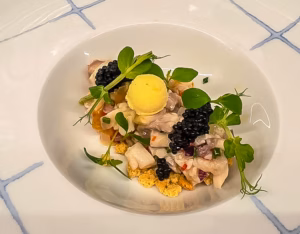 Ceviche de robalo, manga, cebola roxa, milho e gelado de mostarda